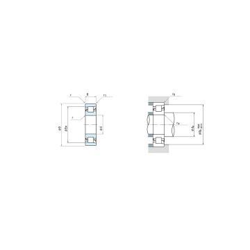 D_a max NSK NF318M NF-Type